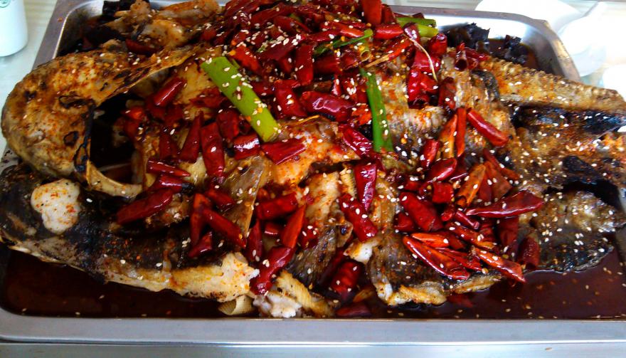 成都烤魚(yú)技術(shù)培訓(xùn) 成都烤魚(yú)技術(shù)培訓(xùn)