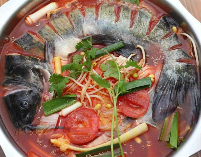 20230824172451822251.jpg 20230824172451822251.jpg