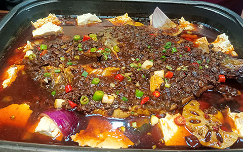 20240313192416672242.jpg IMG_20230318_115719.jpg