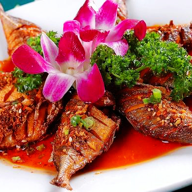 20240921115520124624.jpg 20240921115520124624.jpg